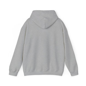 FI - Adult Heavy Blend™ Hoodie