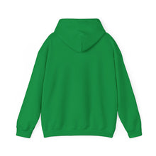 Load image into Gallery viewer, FI - Adult Heavy Blend™ Hoodie