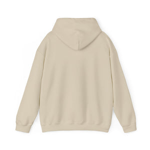 FI - Adult Heavy Blend™ Hoodie